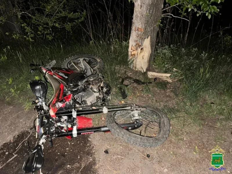 Подросток на мотоцикле врезался в дерево в Биробиджане