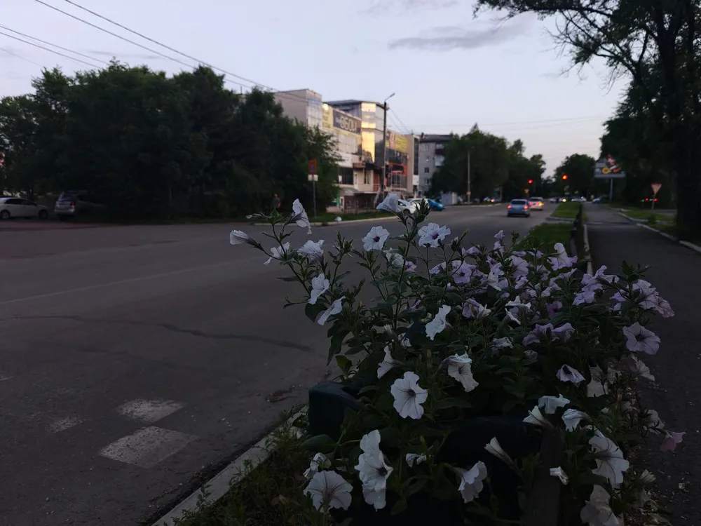 Гороскоп на 25 июня: Тельцы, проявите терпение, Водолеи, ожидайте новых встреч