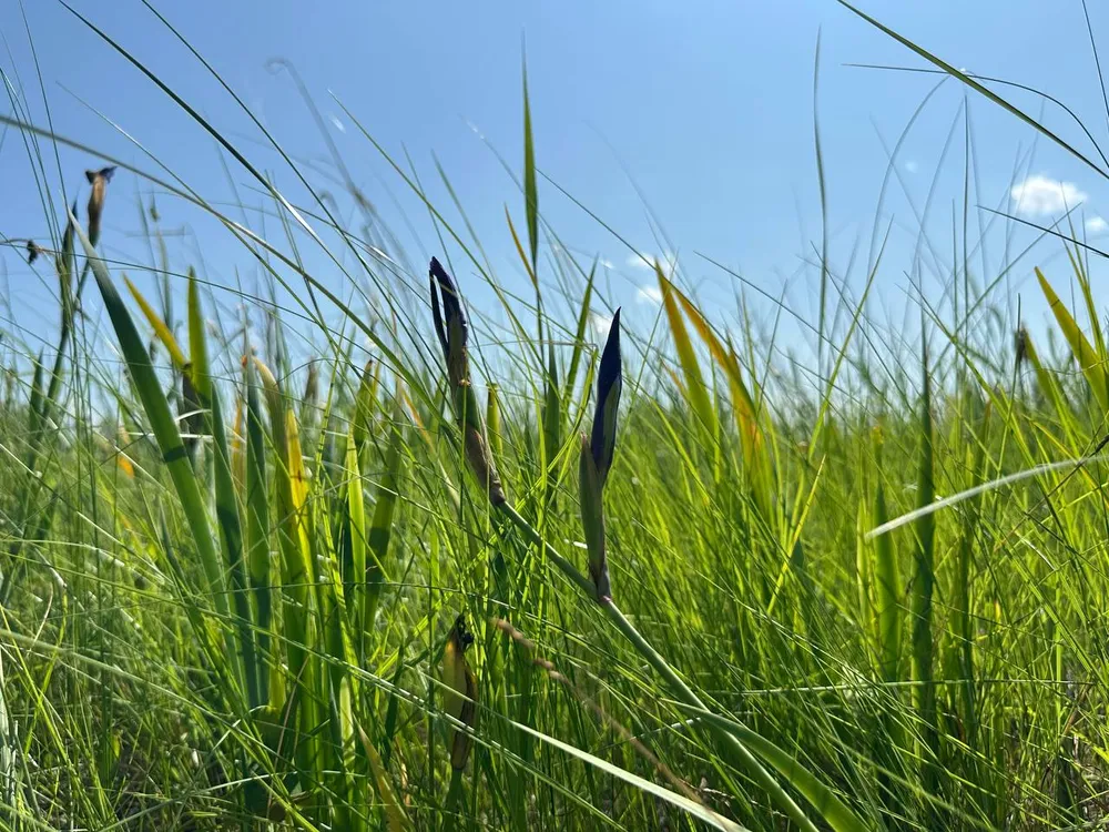 Гороскоп на 26 июня: Близнецы, контролируйте энергию, Козероги не покупайте дорогие вещи