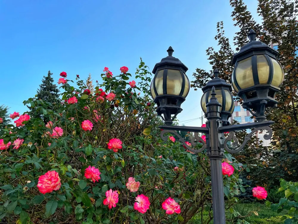 Гороскоп на 4 июня: Тельцы, окунитесь в творчество, Водолеи, найдите контакт с окружающими
