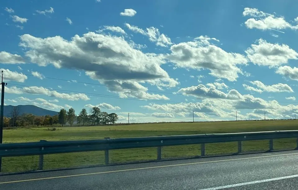 Гороскоп на 28 июня: Львы, все внимание деньгам, Скорпионы, доверяйте, но проверяйте