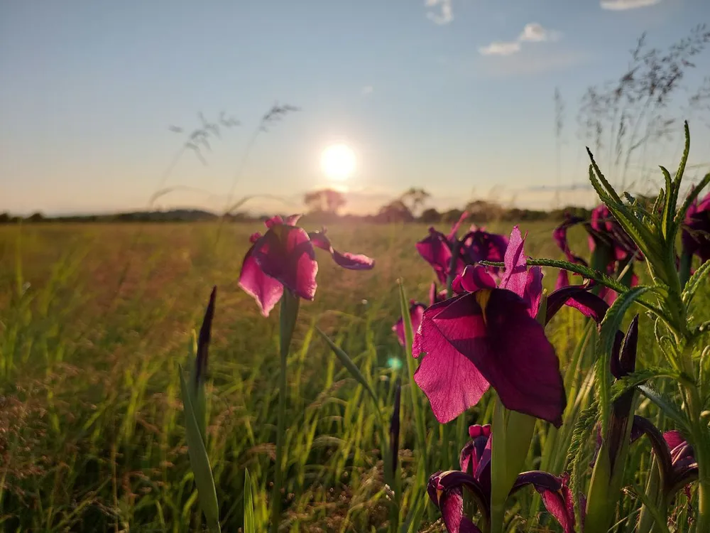 Ясно до 31°: погода на 24 июня в ЕАО