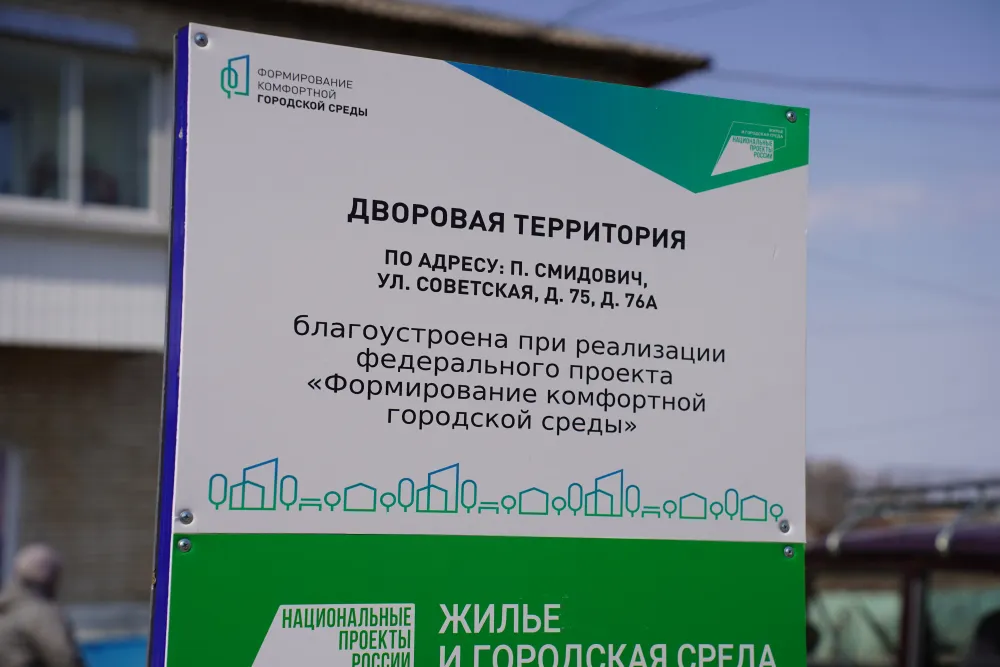 Голосование по программе ФКГС завершается в Еврейской автономии