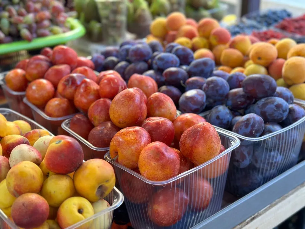 Хабом для экспорта хабаровской продукции в Азию станет Узбекистан