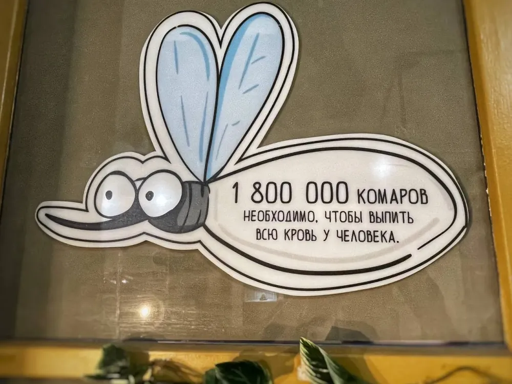 Комары не страшны: как сделать натуральный репеллент своими руками