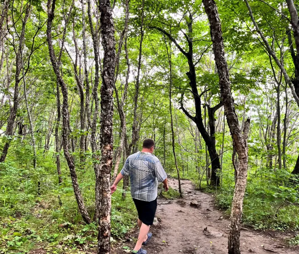 В Хабаровском крае нашли в лесу двух заблудившихся пожилых женщин