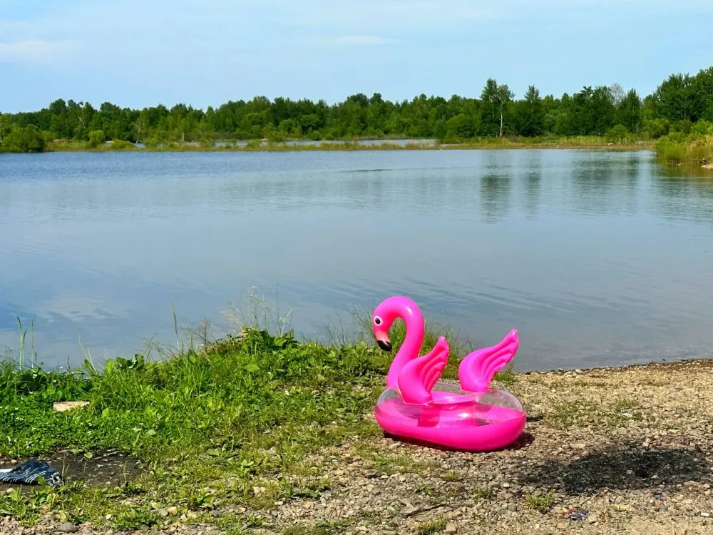 Россиянам запретят приводить с собой на пляж домашних животных