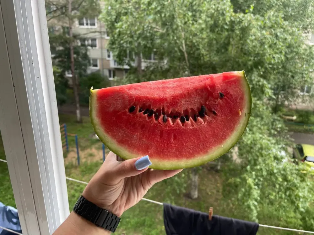 Гороскоп на 7 июня: Львам нужно следить за мимикой, Скорпионы получат восторг от работы