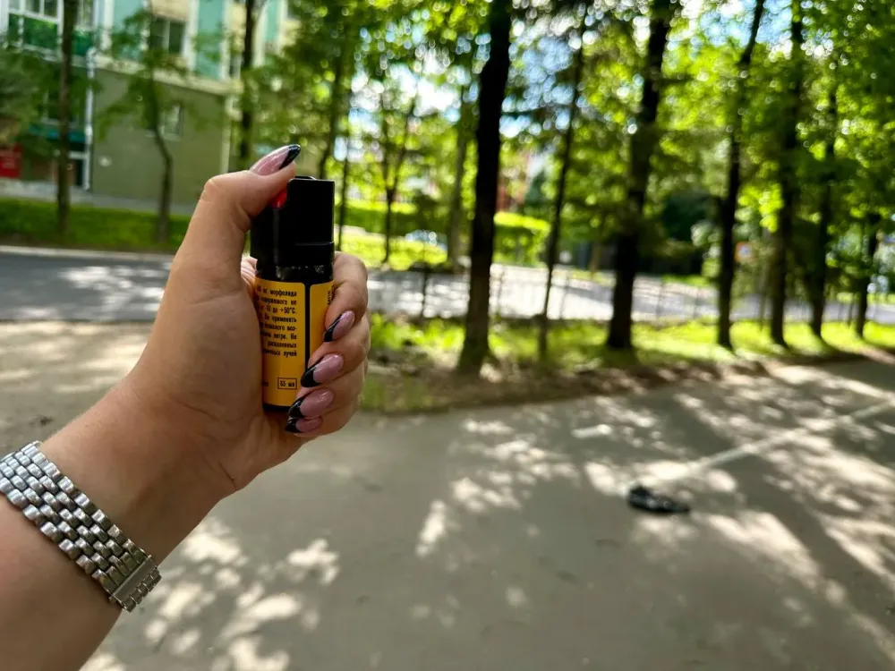 В лицо перцовым баллончиком за замечание: полиция проводит проверку в отношении подростков в Хабаровском крае