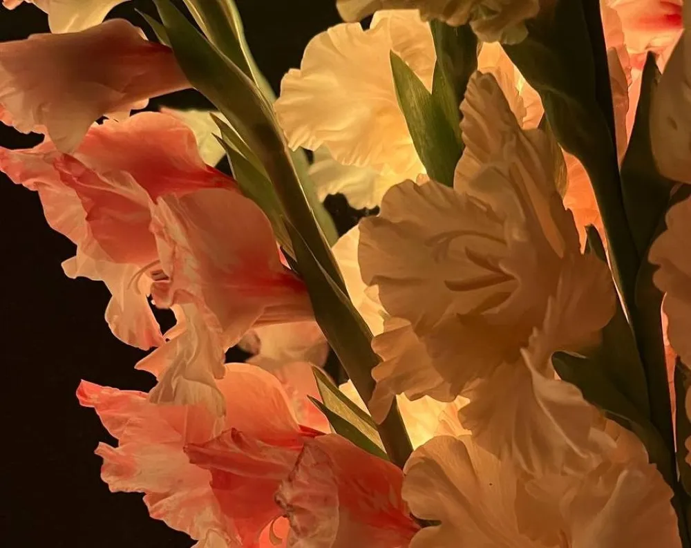 Гороскоп на 17 июня: Тельцы займитесь финансами, Водолеи экспериментируйте