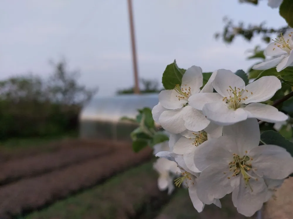 Переменная облачность и ветер: погода на 4 июня в ЕАО