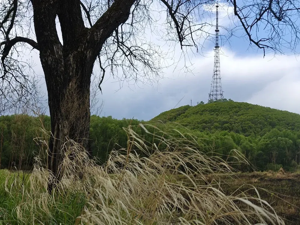 Небольшой дождь ожидается в Биробиджане: прогноз погоды на 2 июня в ЕАО