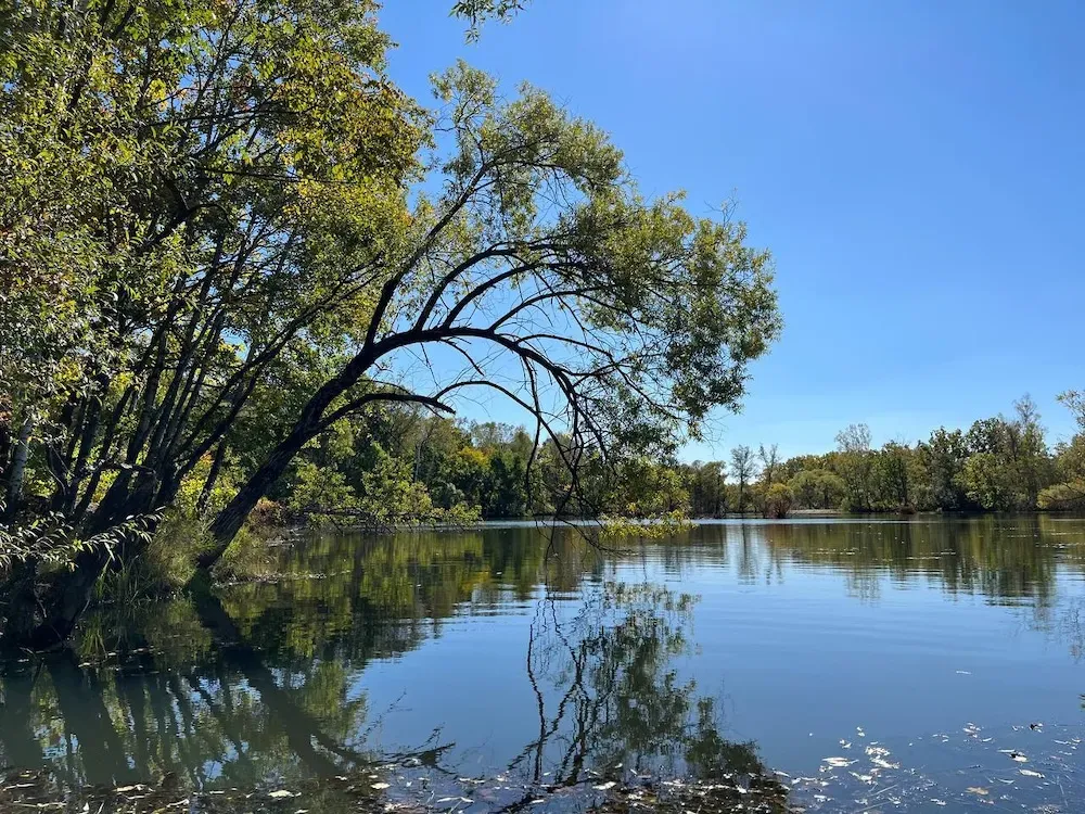 Гороскоп на 5 июня: Близнецы будут эмоциональны, а Козерогов ждут проблемы
