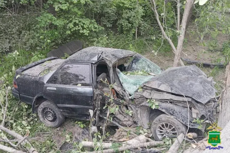 Нетрезвый водитель без прав вылетел с дороги в ЕАО