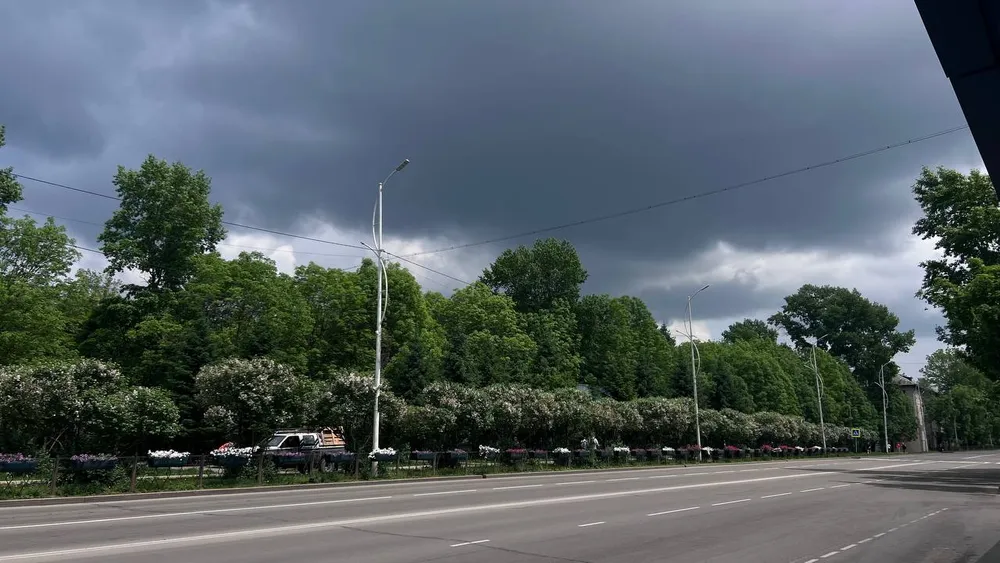 Переменная облачность, слабый ветер: погода на 6 июня в ЕАО