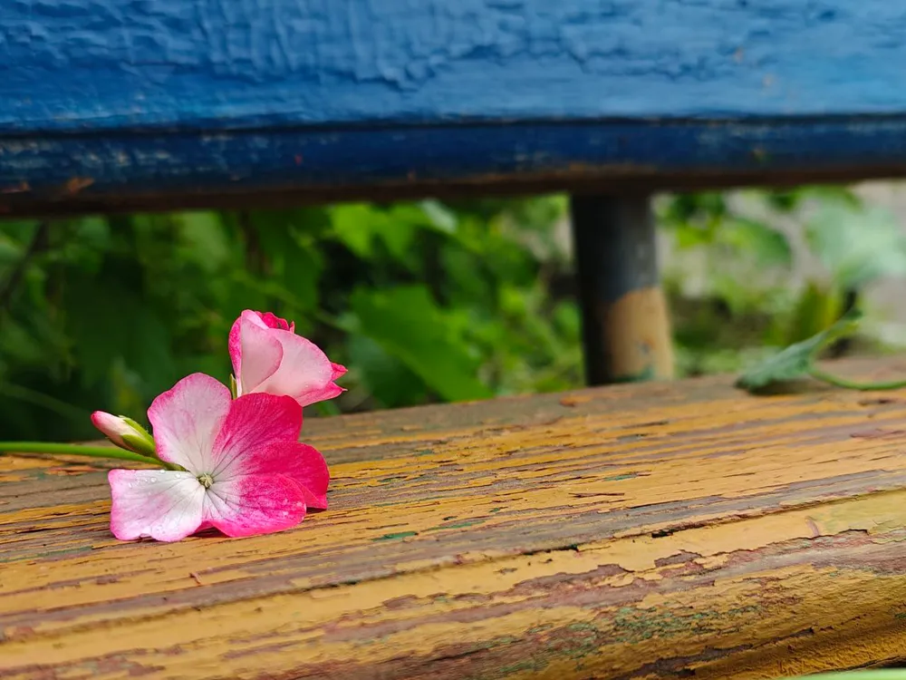 Переменная облачность, небольшой дождь: погода на 16 июня в ЕАО