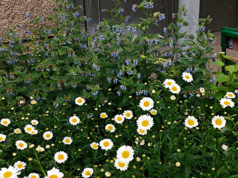 Гороскоп на 11 июня: Тельцы, уделите внимание финансам, Водолеи, мыслите нестандартно