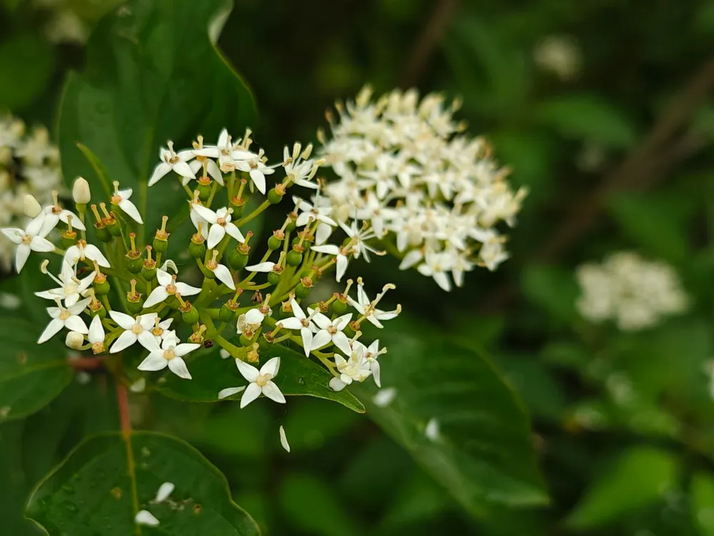 Гороскоп на 19 июня: Ракам стоит расслабиться, а Стрельцам прислушаться к тишине