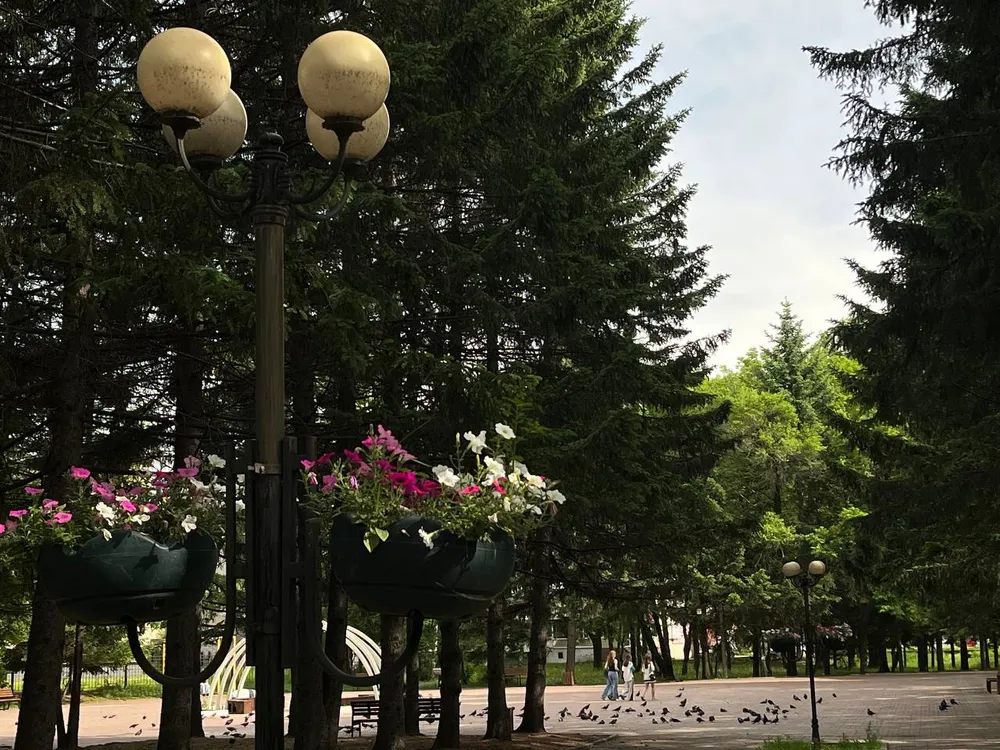 Переменная облачность, сильный дождь: погода на 14 июня в ЕАО