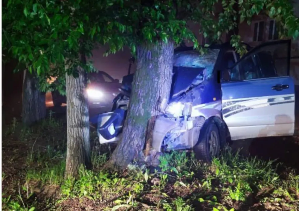 Влетел в дерево и погиб до приезда медиков водитель легковушки в ЕАО
