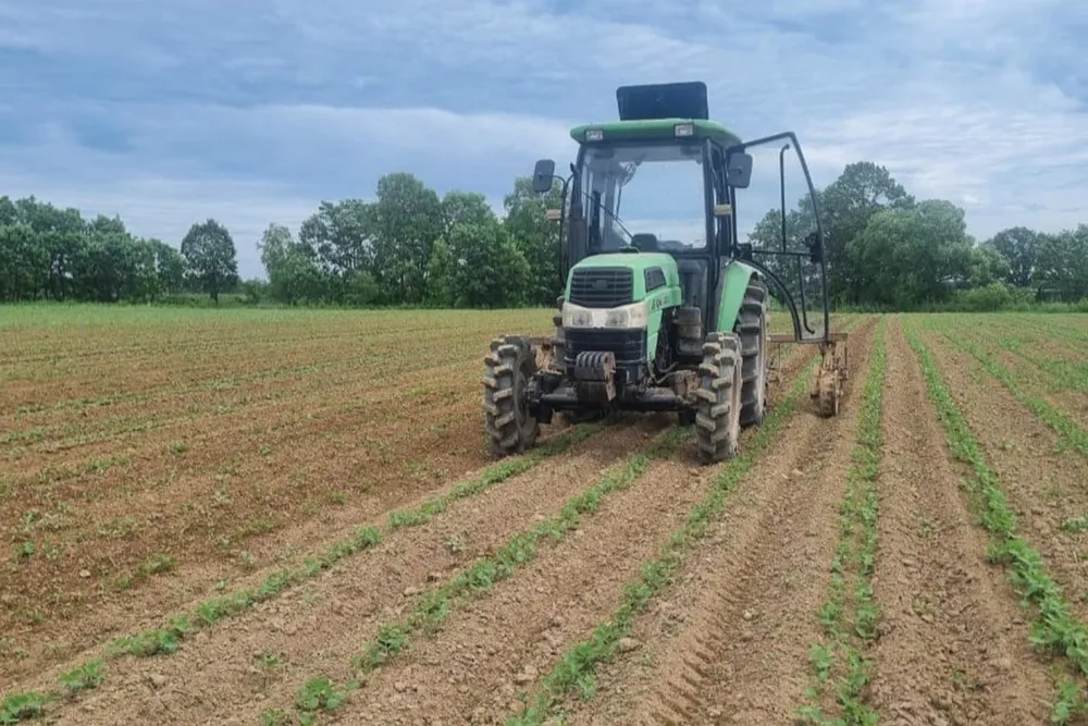 Активно развивают разнообразие сельскохозяйственных культур в ЕАО