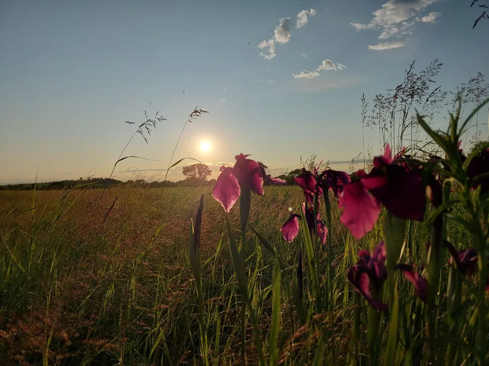 Гороскоп на 23 июня: Девы перестаньте контролировать, Весы не забывайте о себе