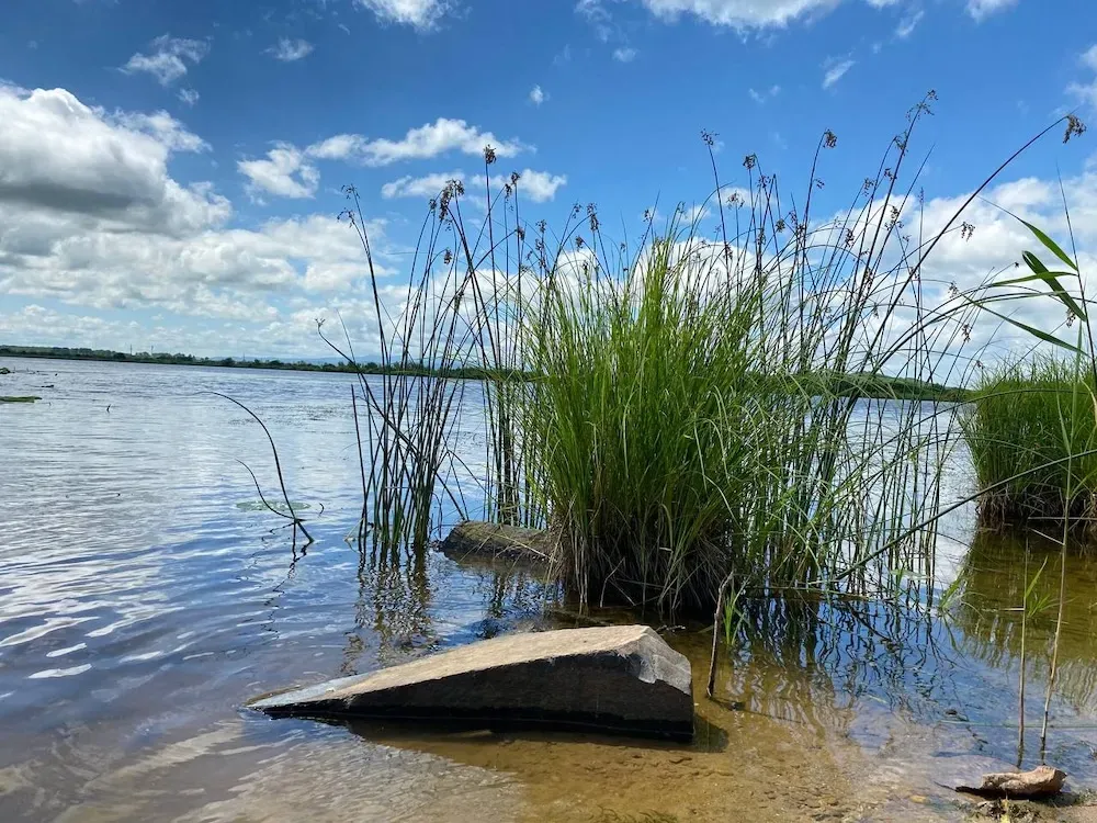 Два ребенка утонули в водоеме в Хабаровском крае