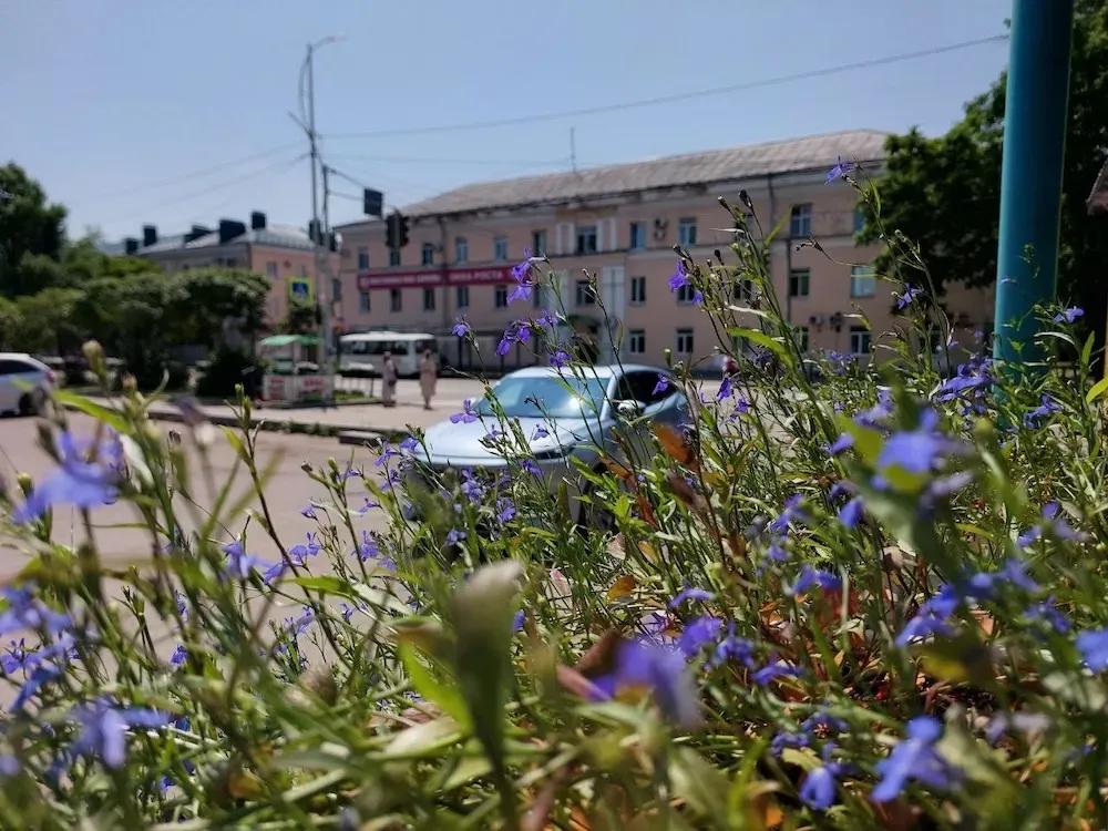 Новостройка, первый IT-куб и гибель ребенка: дайджест новостей недели ЕАО