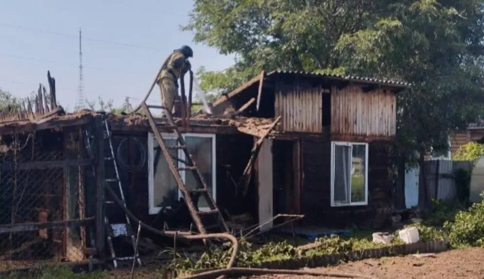 Пожарные спасли 30 домашних птиц в Биробиджане