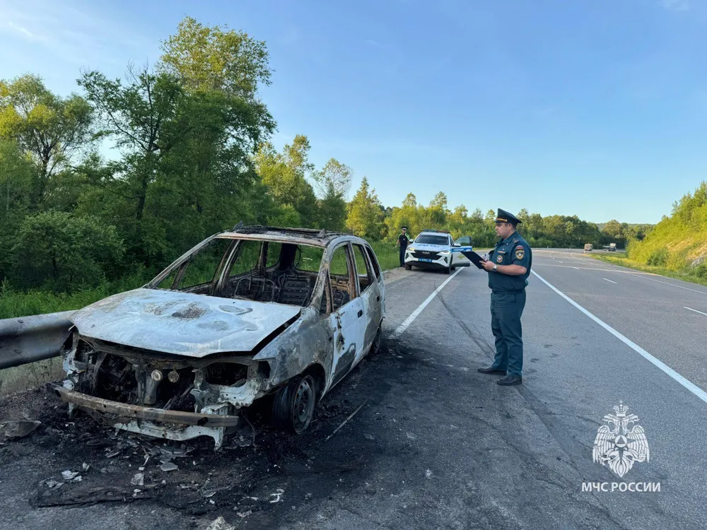 Чудом спаслись из горящего автомобиля во время поездки братья из ЕАО