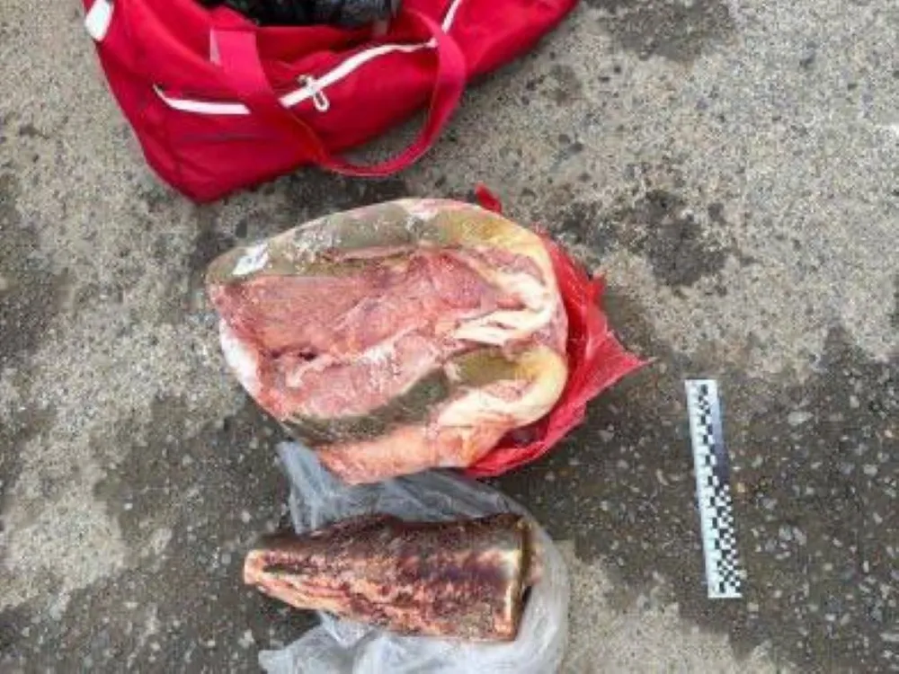 Уголовное дело о незаконном обороте краснокнижной рыбы возбудили в Хабаровском крае