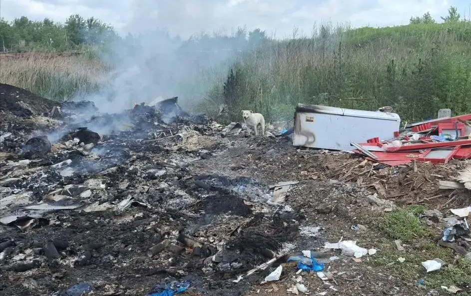 Хабаровская природоохранная прокуратура выявила нарушения законодательства об отходах