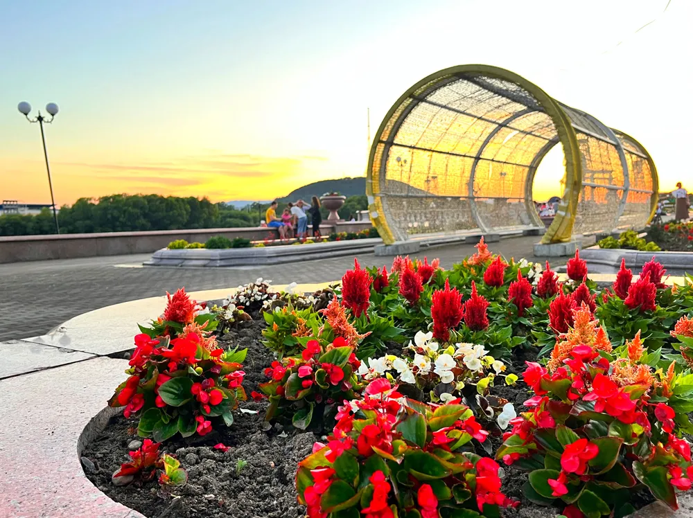 Какой будет погода 1 августа в ЕАО, рассказали синоптики