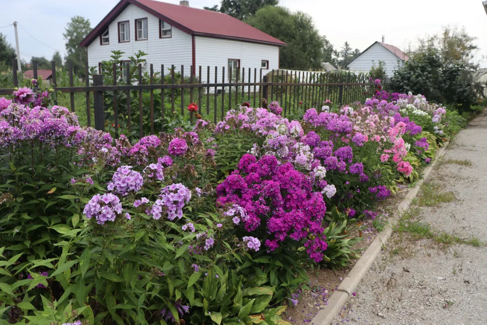 Более 16 тысяч домов по всей России возведено при помощи эскроу-счетов