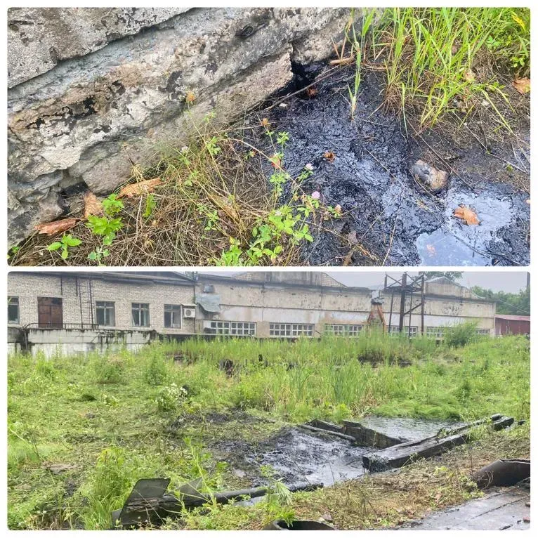 В ЕАО прокуратура проводит проверку по информации об обнаружении битумной ямы, в которую провалилась корова