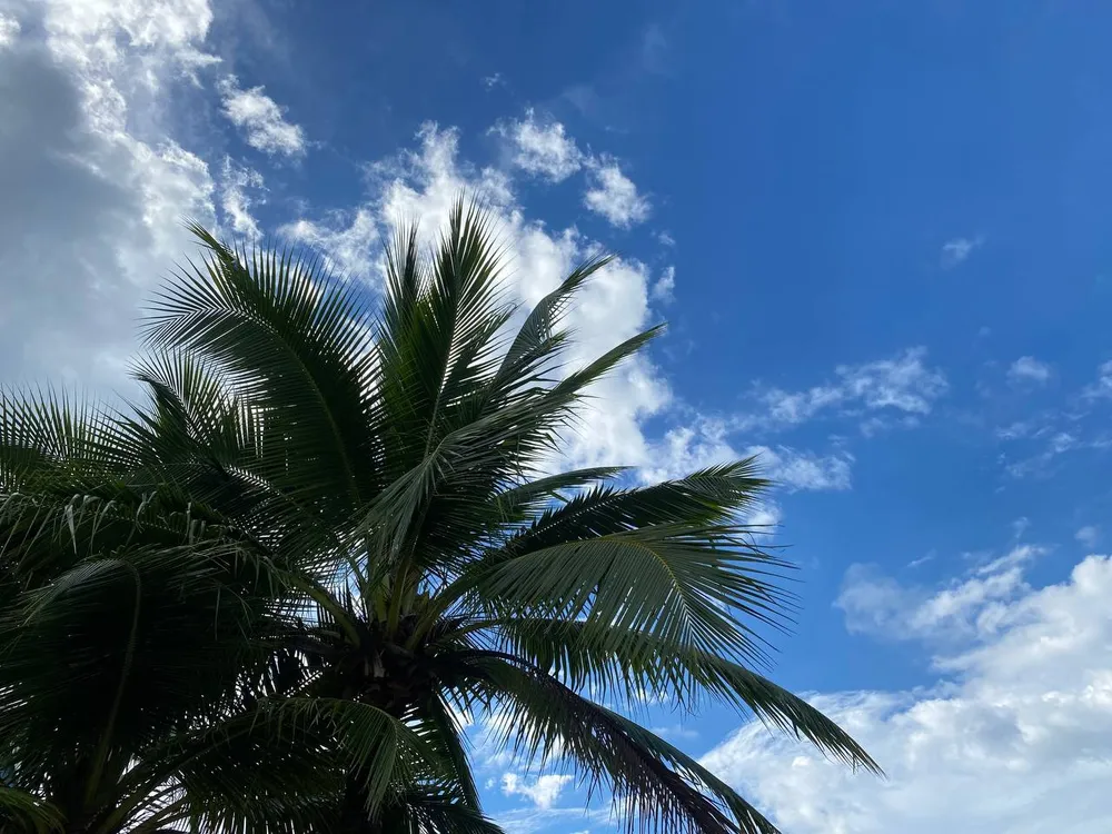 Гороскоп на 2 июля: Тельцы, возможны удачные сделки, Водолеи, избегайте ограничений