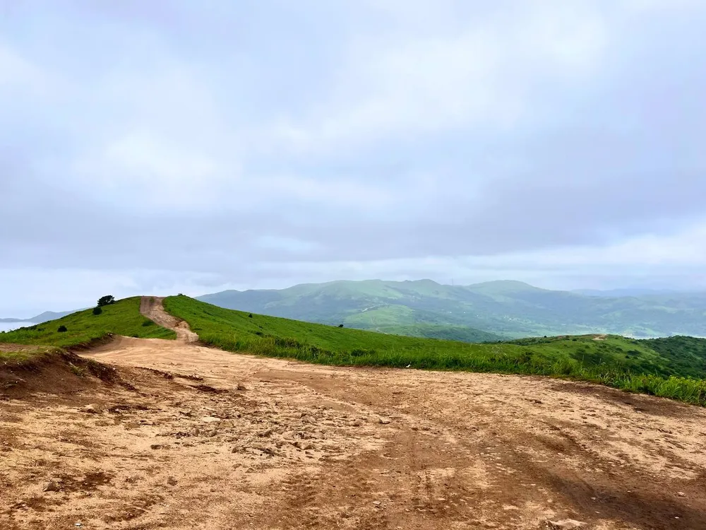 Ограничения на отдых на природе: Новые правила для автомобилистов