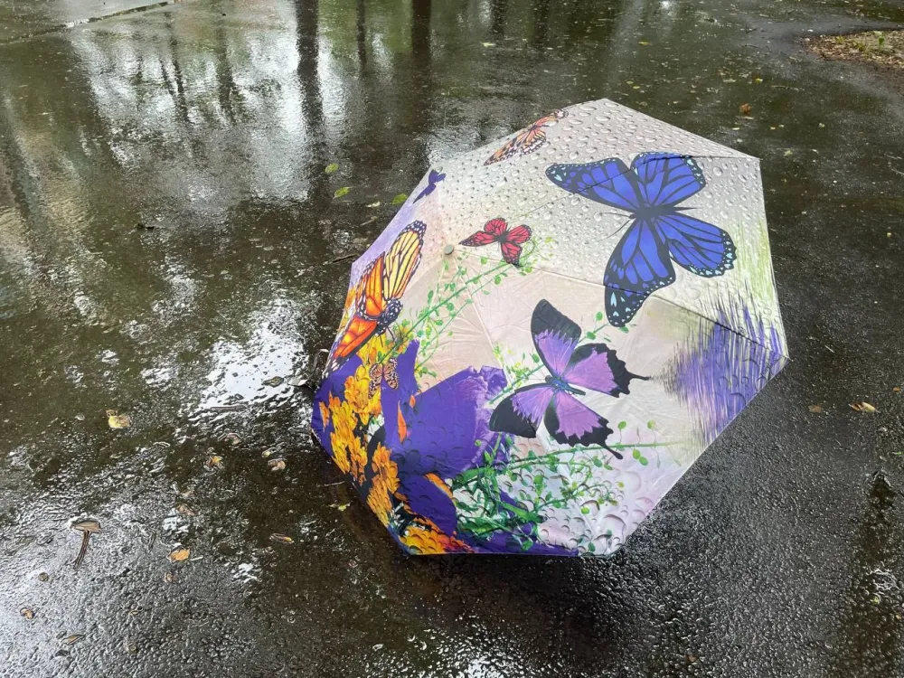 Сильные ливни с грозами обрушатся на Хабаровский край 30 июля