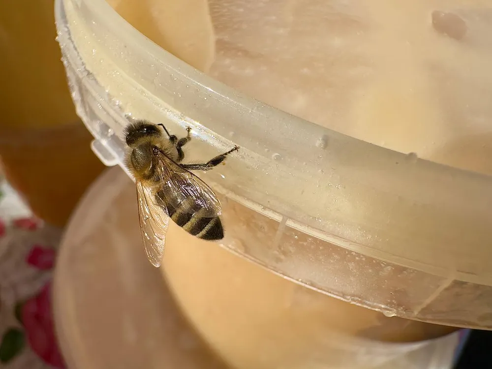 Мед и гречневая каша могут негативно повлиять на здоровье сосудов