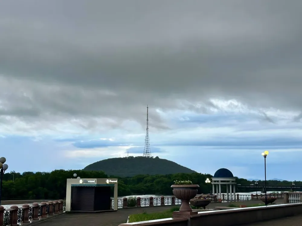 Дождь, гроза, низкое давление: погода на 25 июля в ЕАО