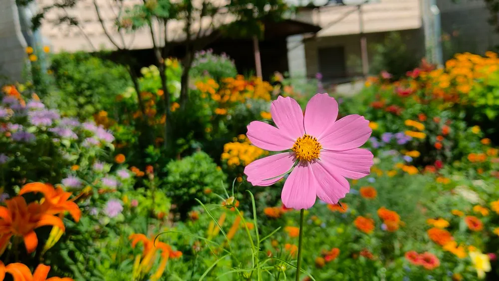 Гороскоп на 22 июля: Овны, проявите терпение, Рыбы, займитесь самопознанием