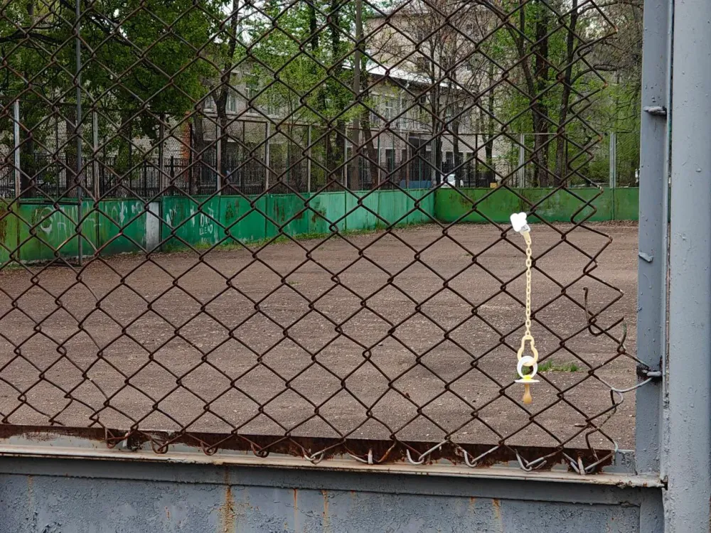 После ареста автомобиля хабаровчанин выплатил алименты и решил забрать ребёнка из Детского дома