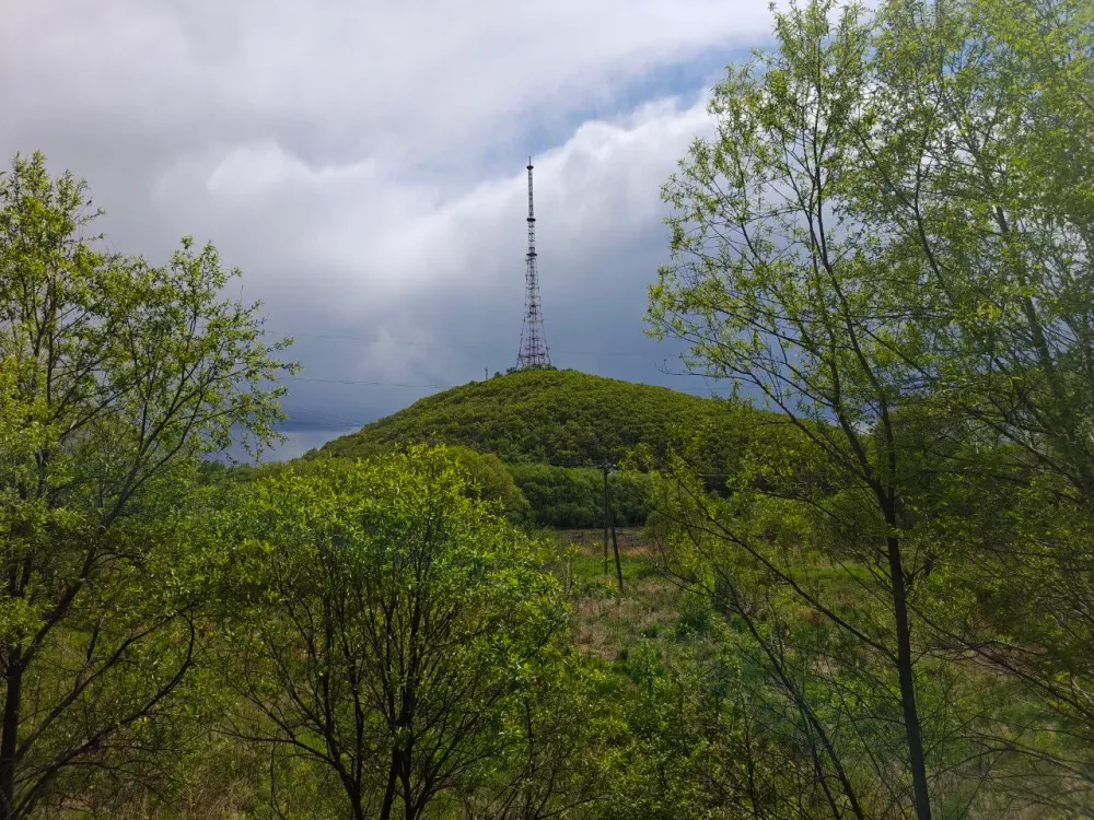 Дождь, ветер: прогноз погоды на 3 июля в ЕАО