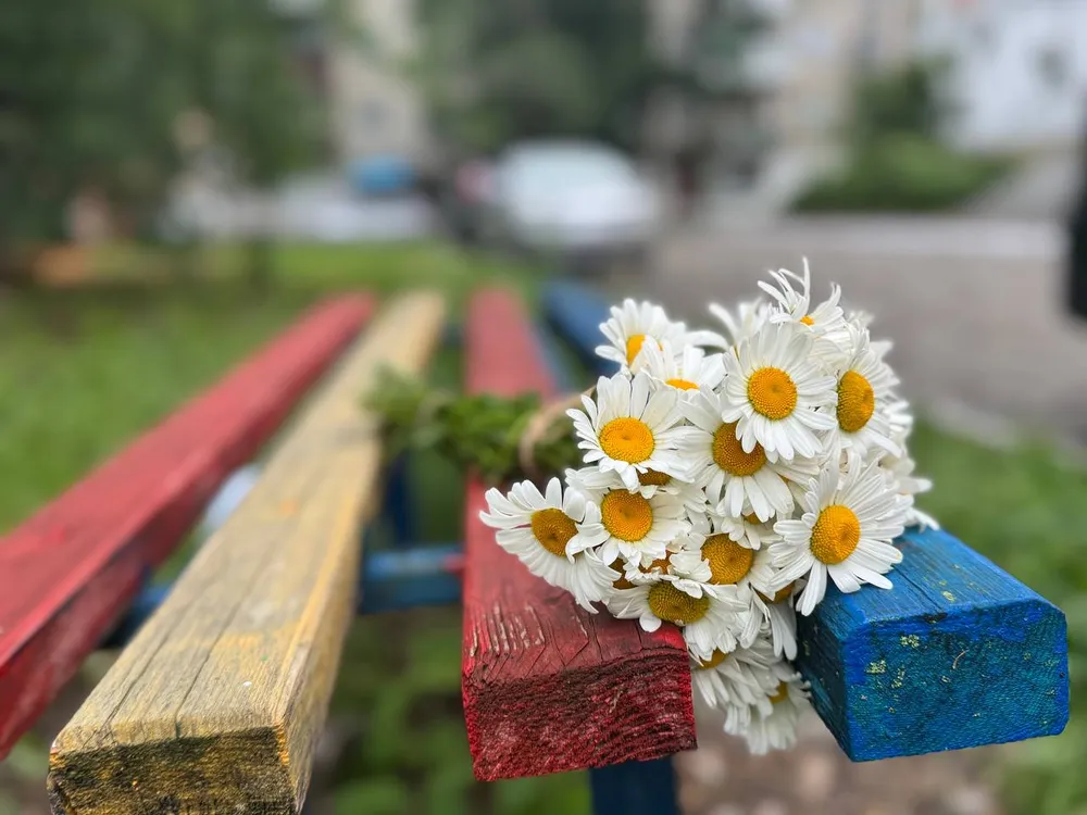 Малооблачно, сильный ветер: погода на 21 июля в ЕАО