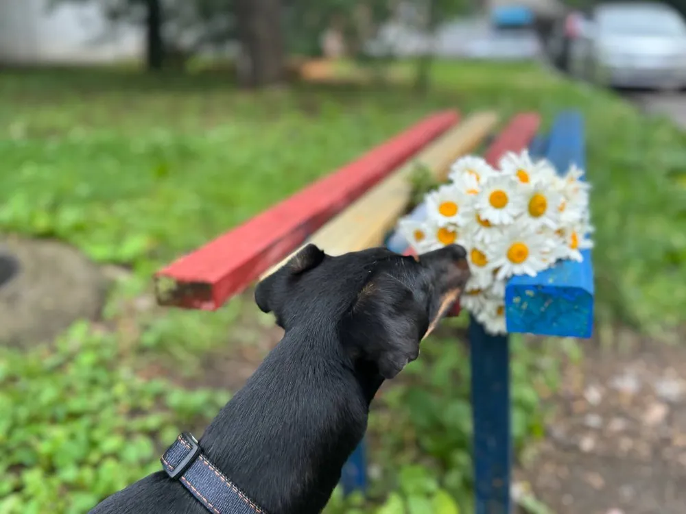 Гороскоп на 23 июля: Тельцы, пересмотрите свои взгляды, Водолеи, стремитесь к равноправию