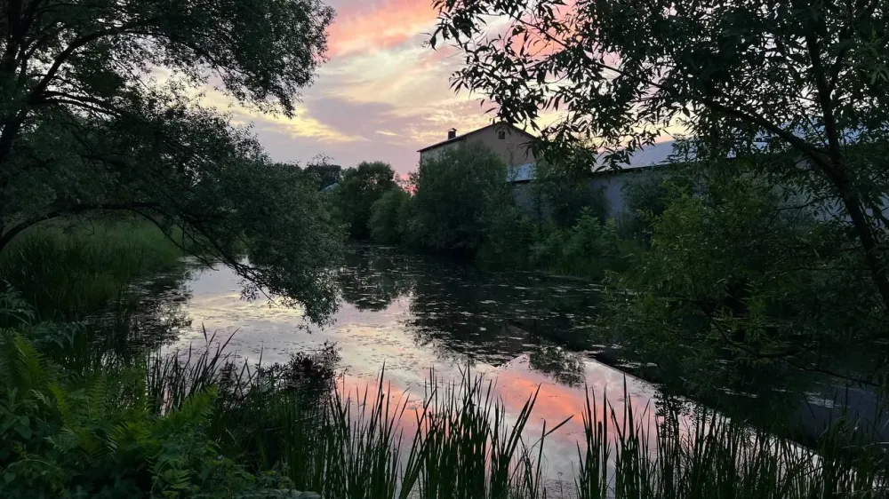 Гроза и дождь: прогноз погоды на 5 июля в ЕАО