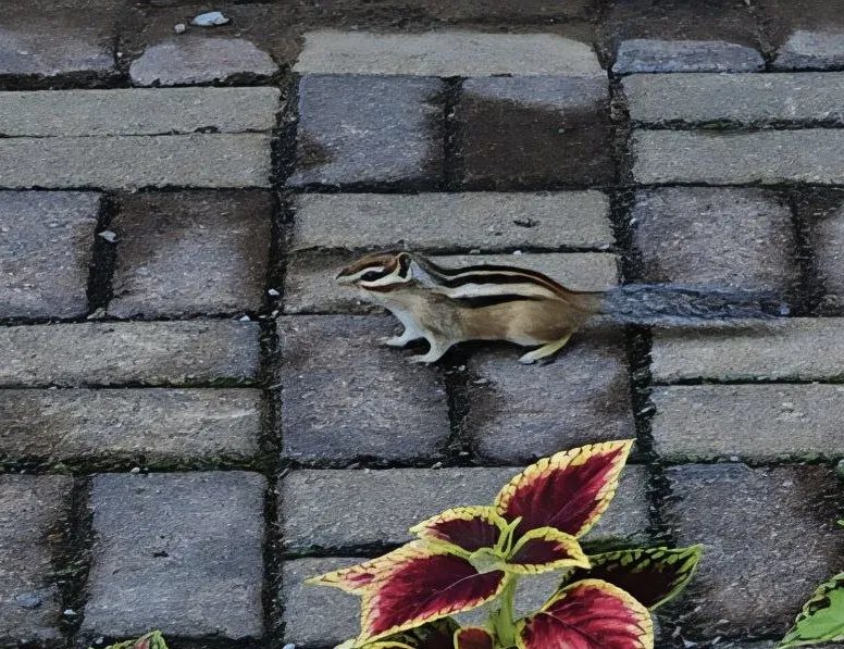 Улучшат питание школьников, премия выпускникам и везение братьев: дайджест новостей недели ЕАО