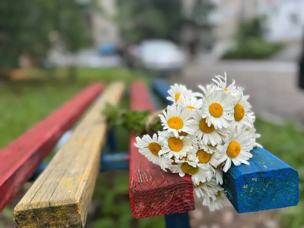 Малооблачно, до +25: прогноз погоды на 9 июля в ЕАО