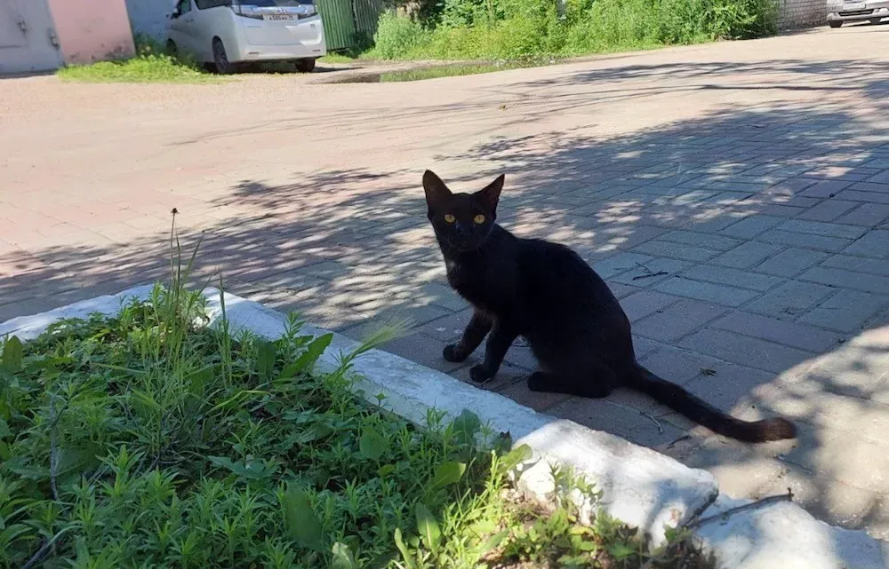 Гороскоп на 10 июля: Близнецам лучше быть в одиночестве, а Козерогам с близкими