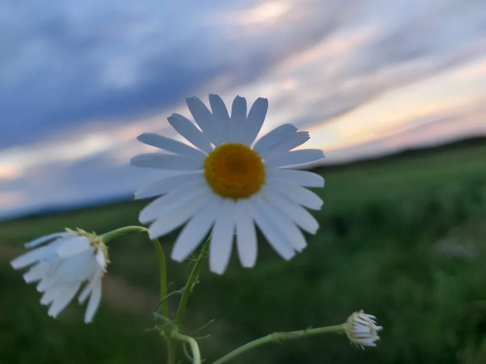 Гороскоп на 11 июля: Раки, избегайте конфликтов, а Стрельцам пора отправиться в путешествие